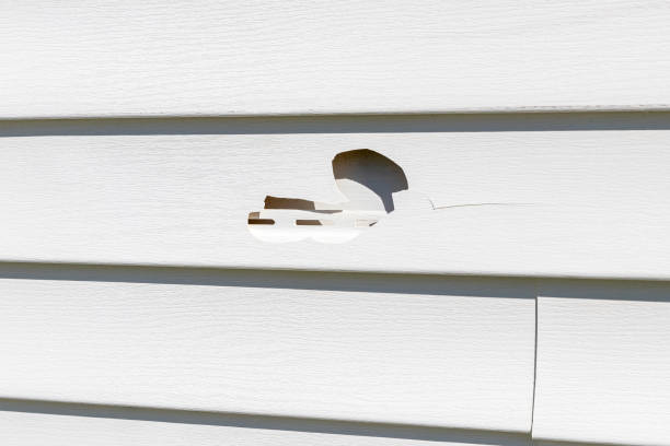  Bling, AR Siding Installation Pros